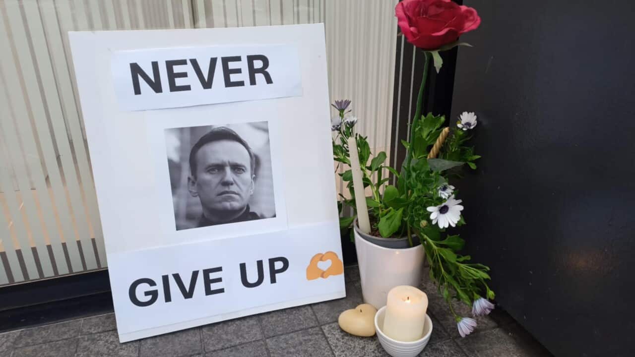 Image for read more article 'READ MORE'