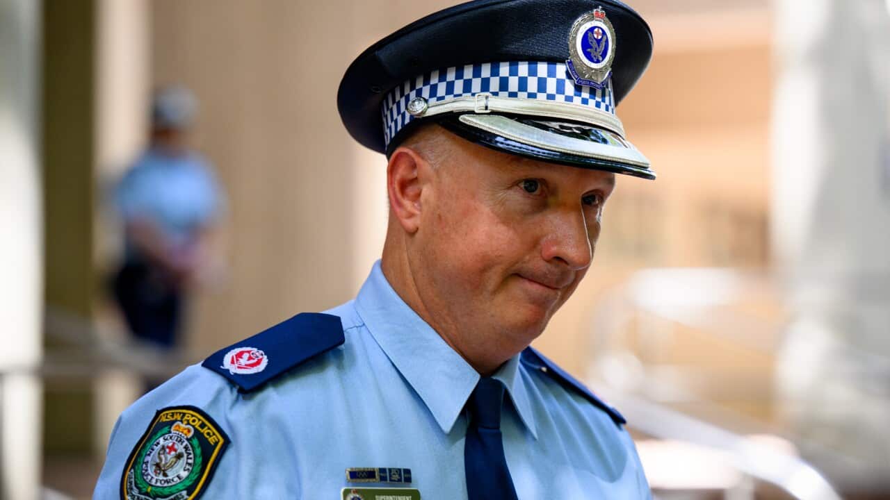 Image for read more article 'READ MORE'