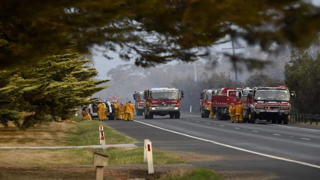 CFA officers and their fire trucks.