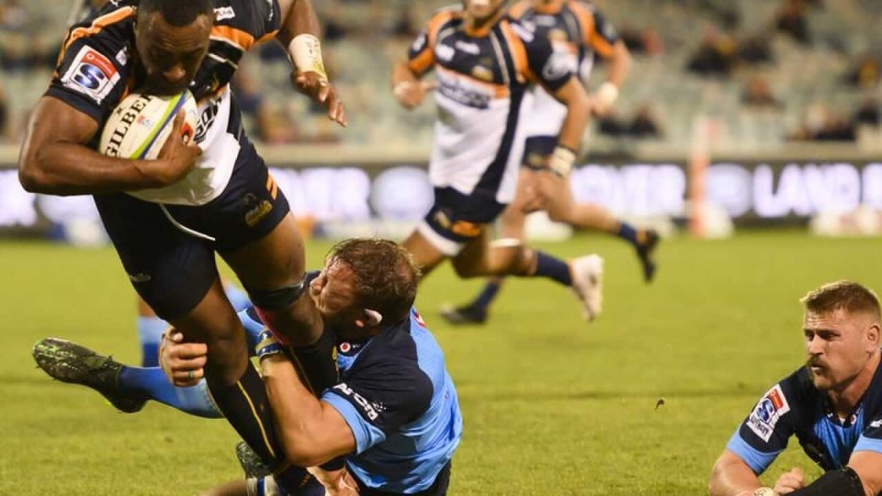 Brumbies