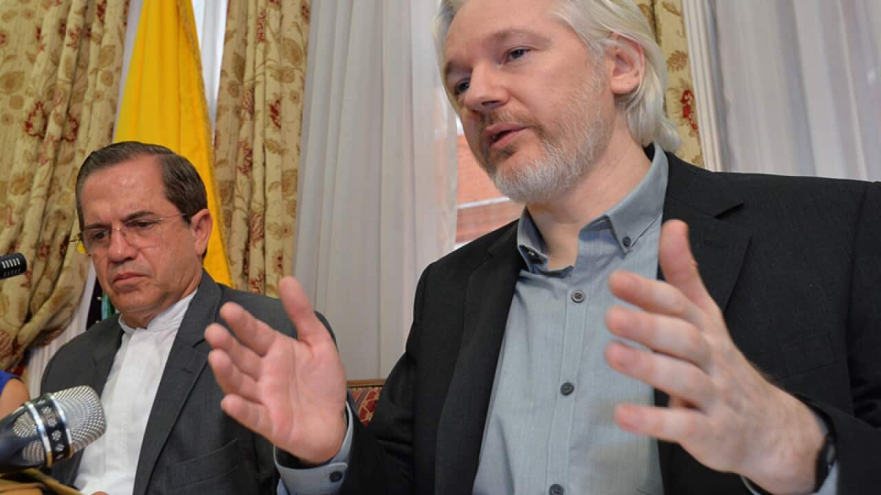 WikiLeaks founder Julian Assange