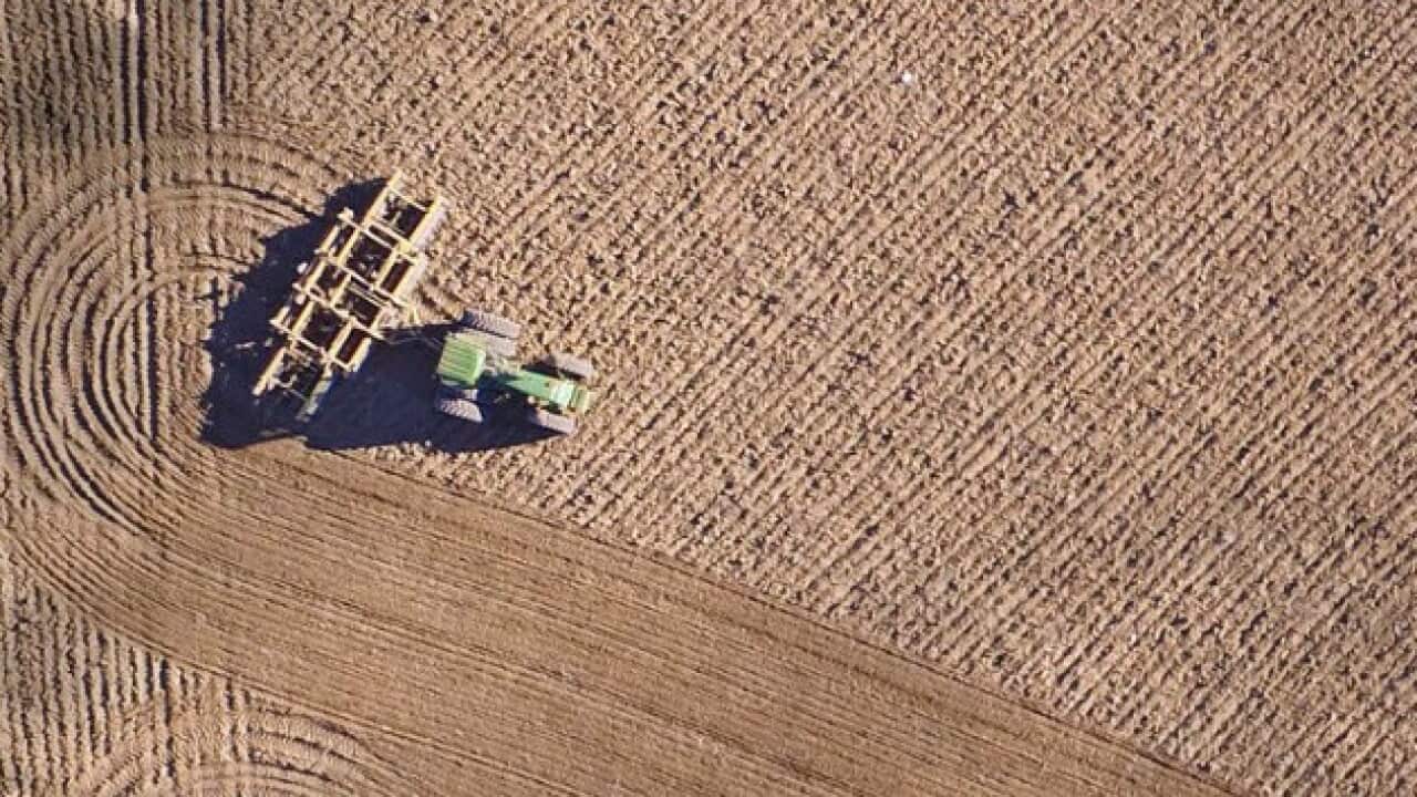 Ogni ettaro di terreno coltivato frutta all'Olanda 800 volte più che all'Australia