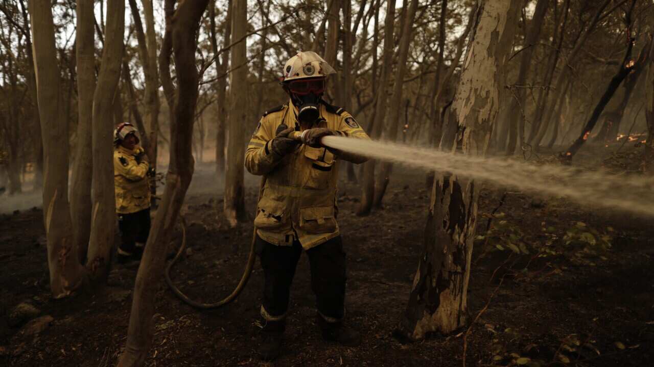 Members of the Sutherland Strike Force RFS contain a spot fire on a property in Colinton, NSW, Saturday, February 1, 2020.