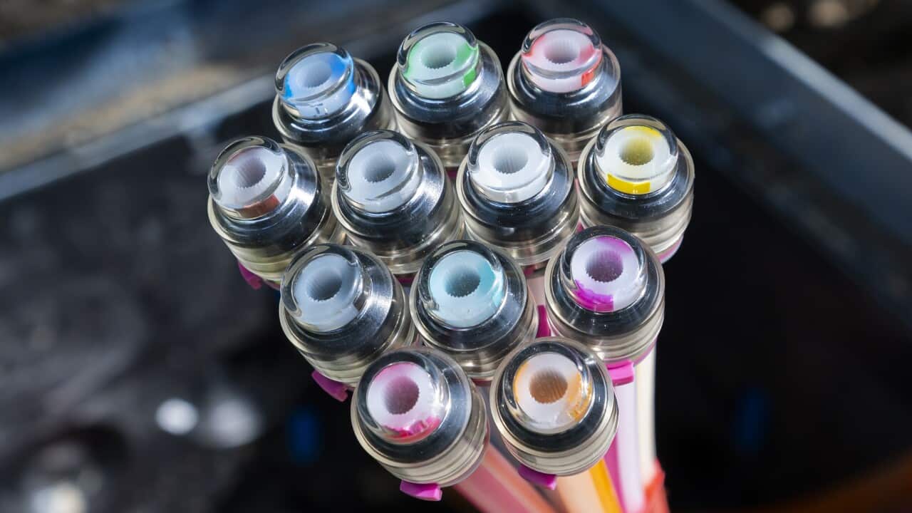 A bundle of fibre optic cables