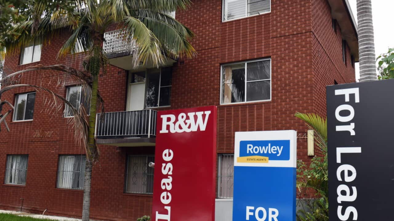 Rental signs outside a block in Sydney
