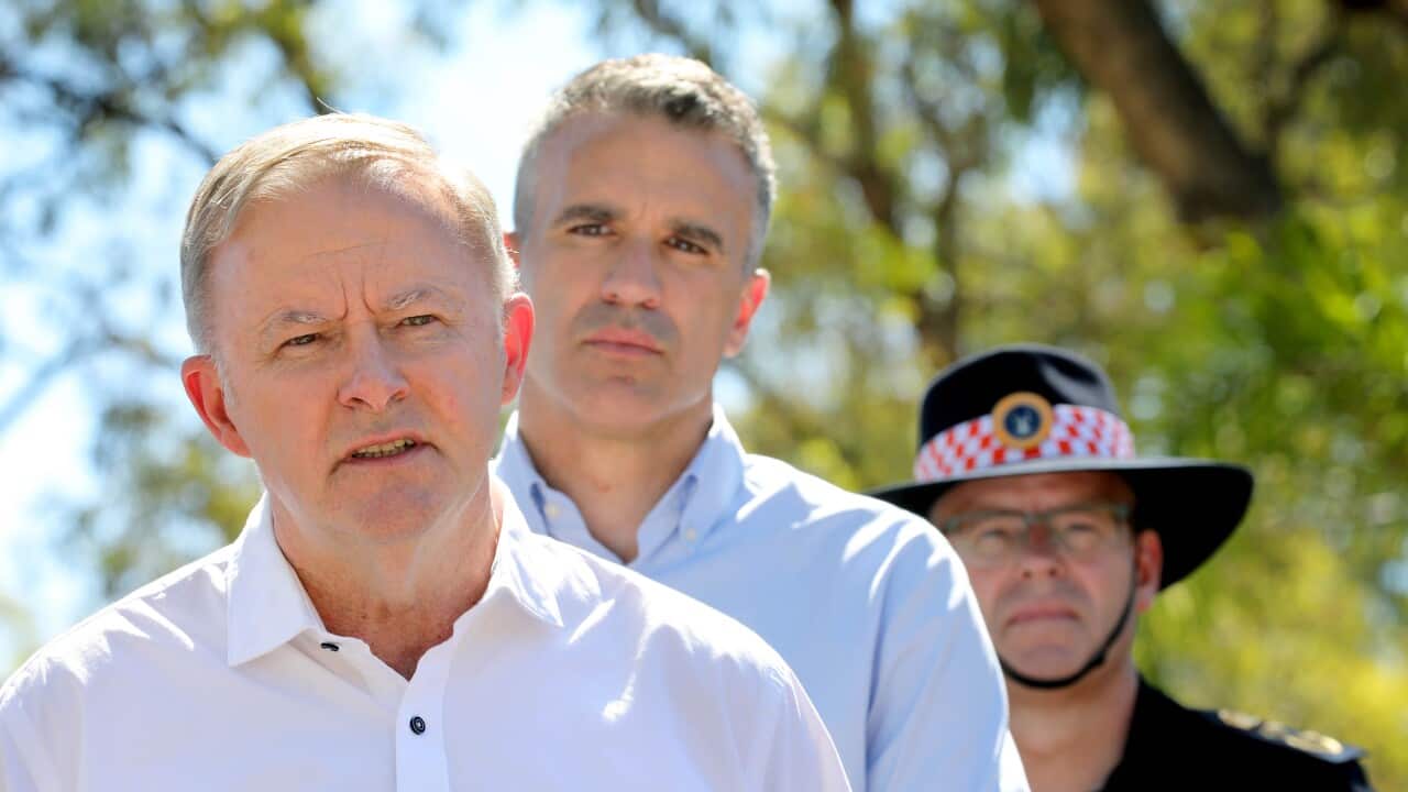 ANTHONY ALBANESE SA VISIT