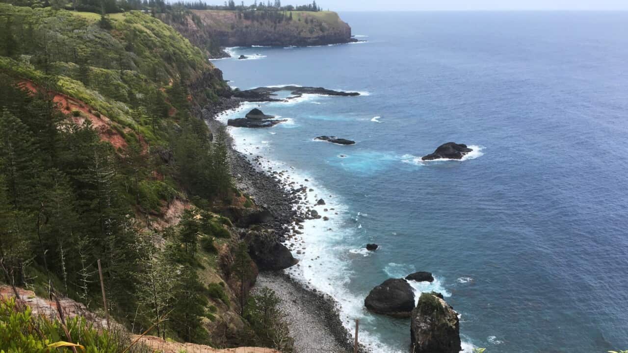 جزیره نورفولک