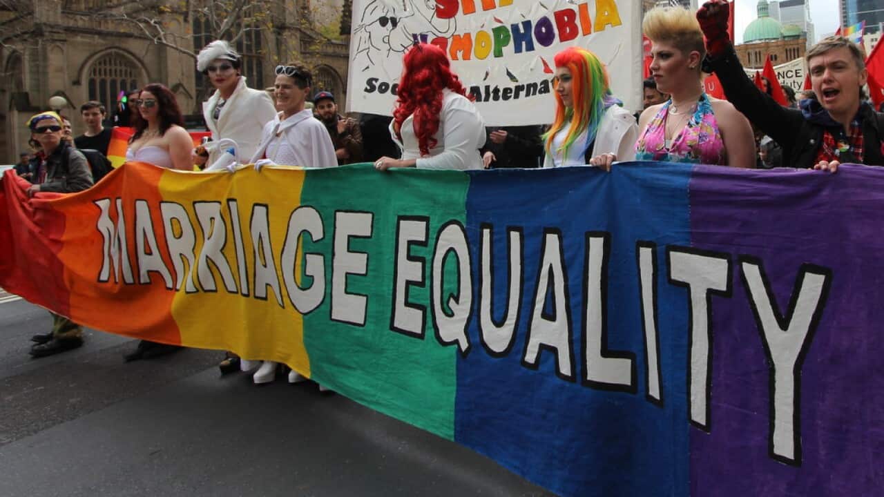 Gay rights supporters march through Sydney 2014
