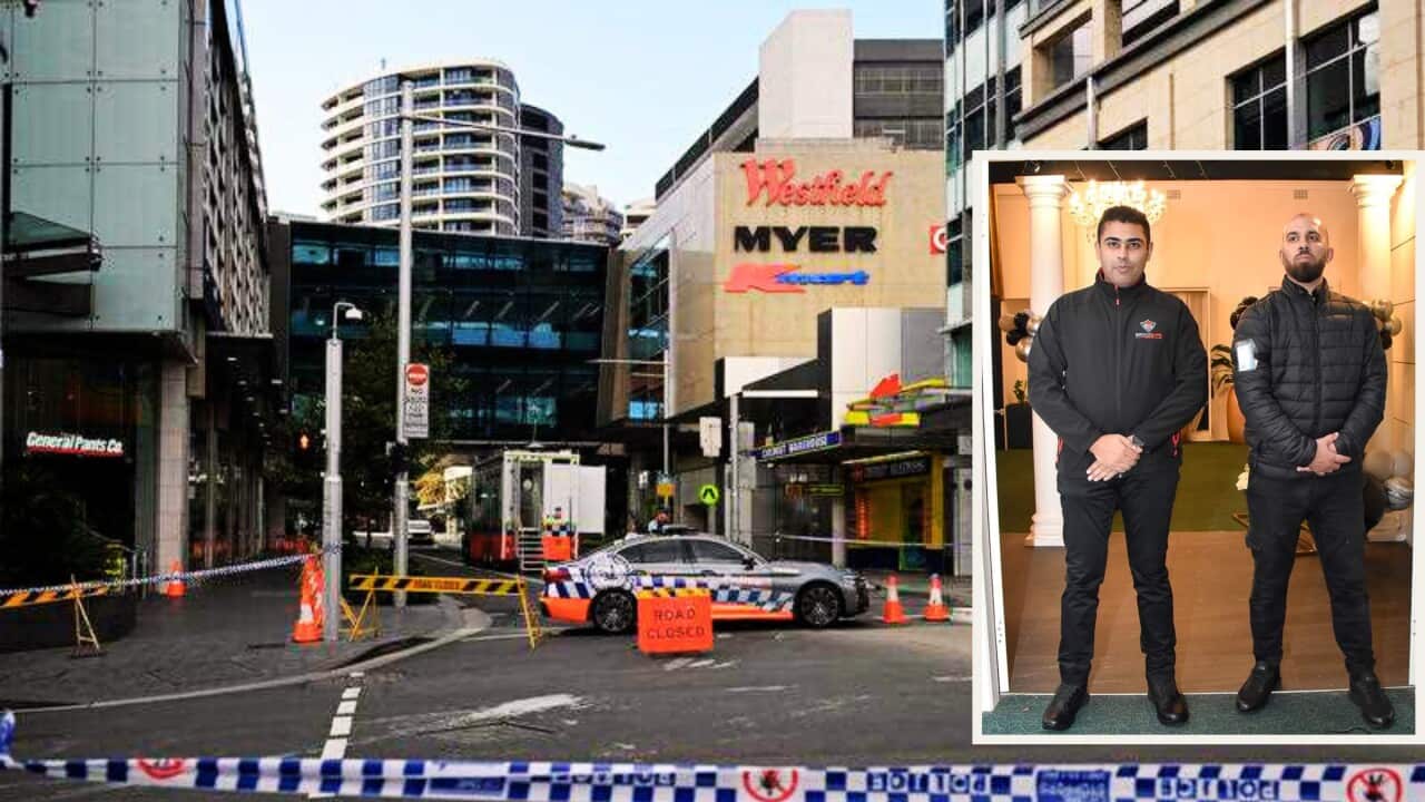 Bilal Mubashar and Roy