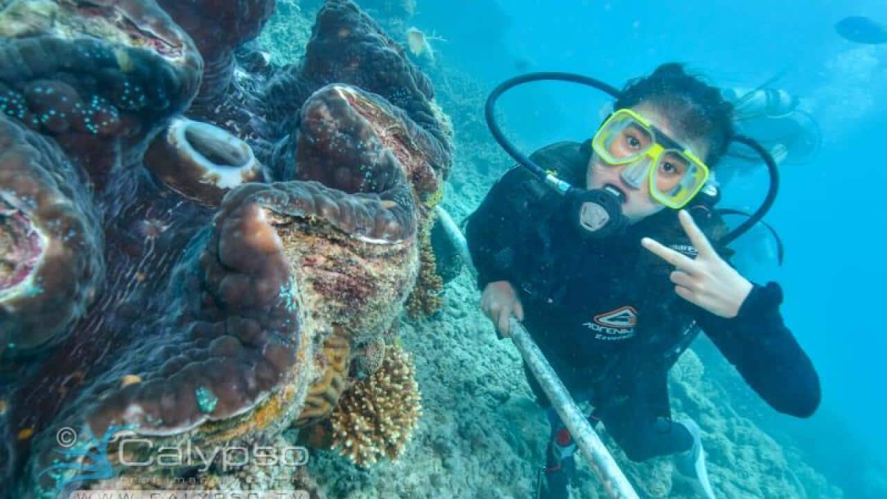 Image for read more article 'READ MORE'