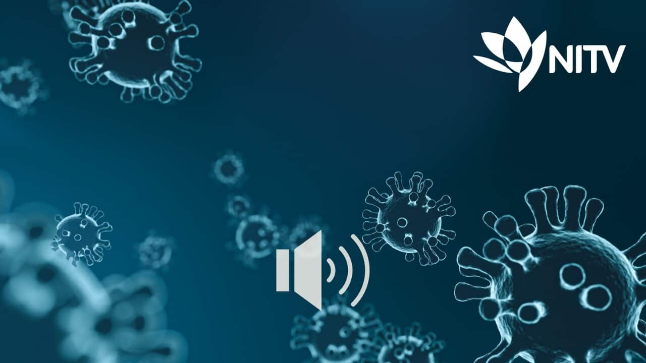 DAILY COVID UPDATE: NSW and VICTORIA