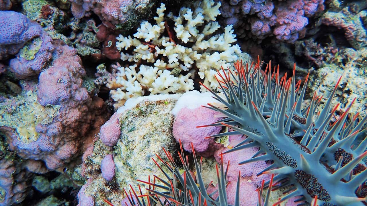 Image for read more article 'READ MORE'