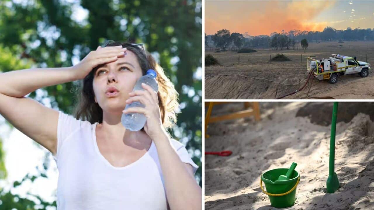 gujarati programme of 9 Jan 26