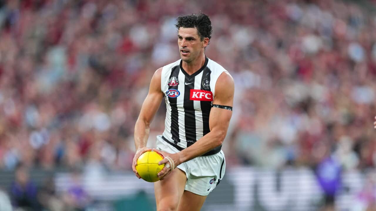 AFL BOMBERS MAGPIES