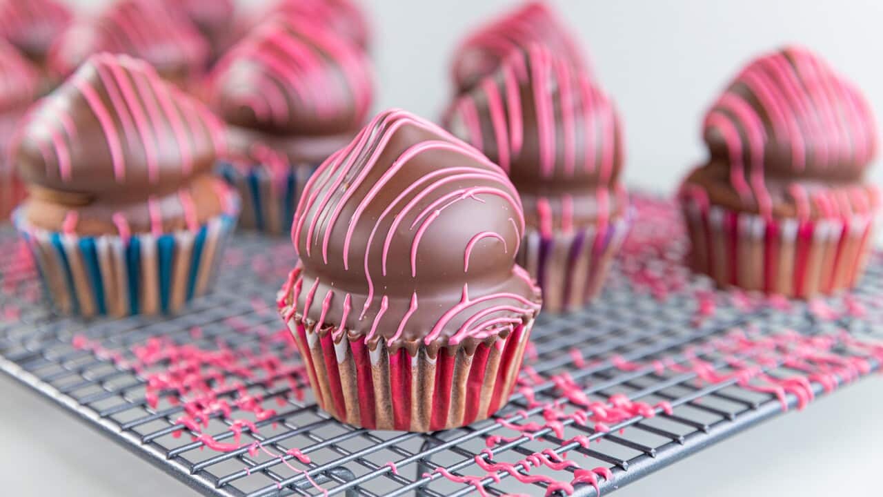 Chocolate cupcakes with choc-coated domes sit on a wire rack.