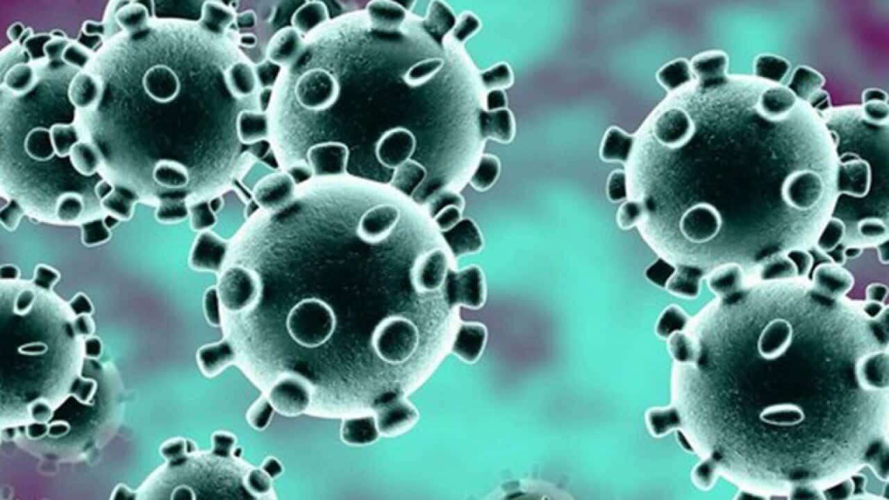 Work has begun at multiple groups, including the National Institutes of Health, to develop a vaccine for the new strain of coronavirus.