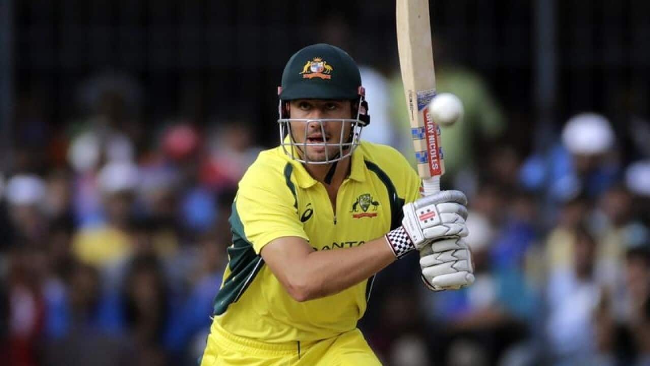 cricket
