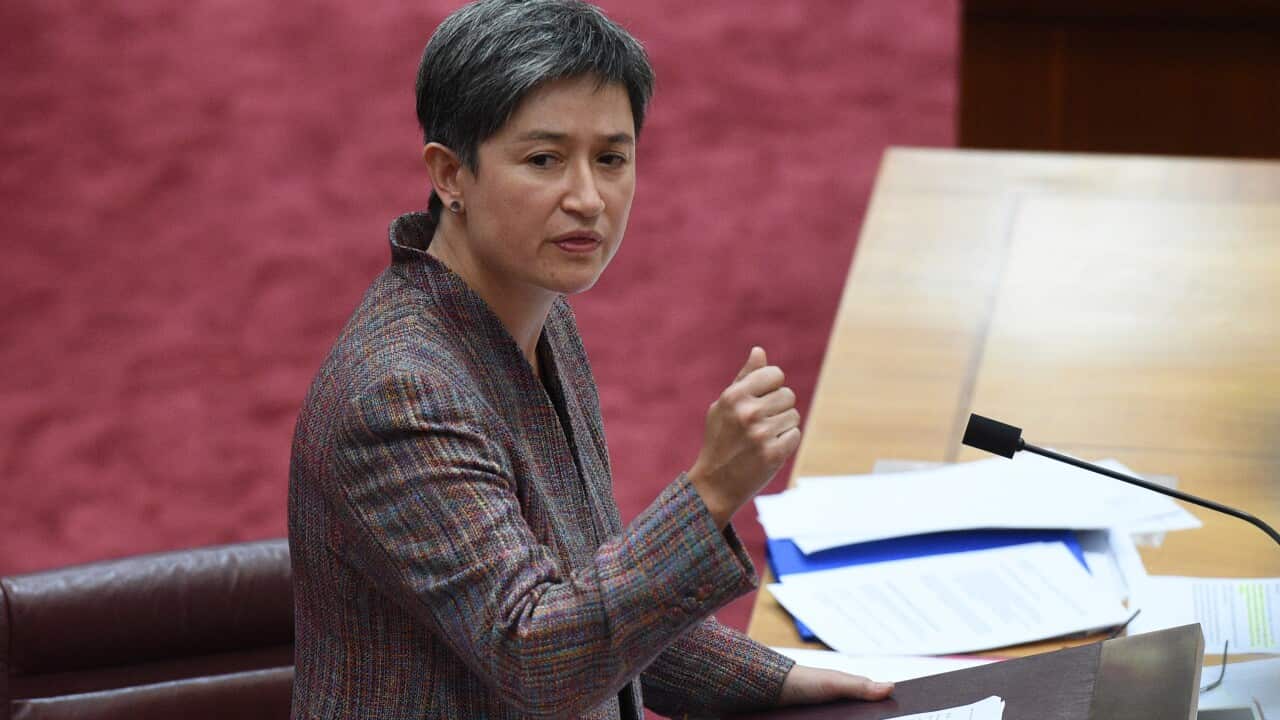 Labor Senator Penny Wong speaks just before the Senate passes the Government's senate electoral reforms at Parliament House in Canberra on Friday, March 18, 2016. (AAP Image/Mick Tsikas) NO ARCHIVING