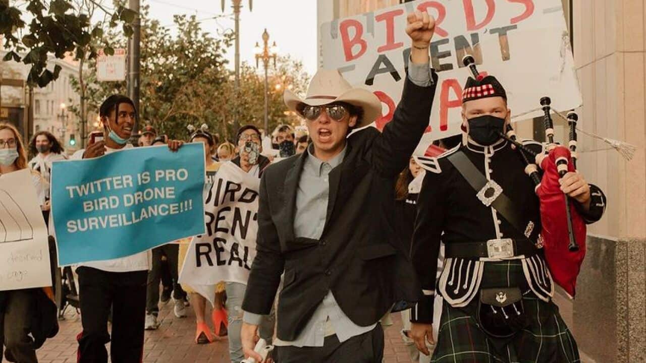 Birds Aren't Real's creator Peter McIndoe.