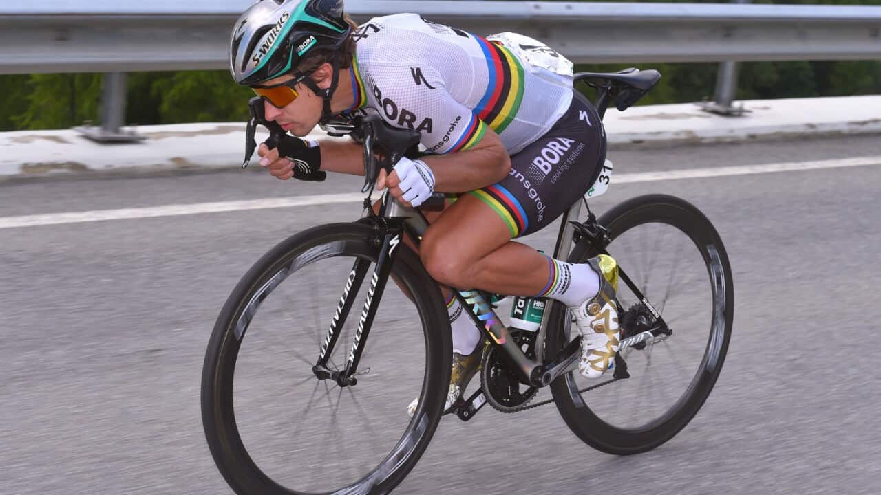 Peter Sagan, BORA-hansgrohe, Tour de France