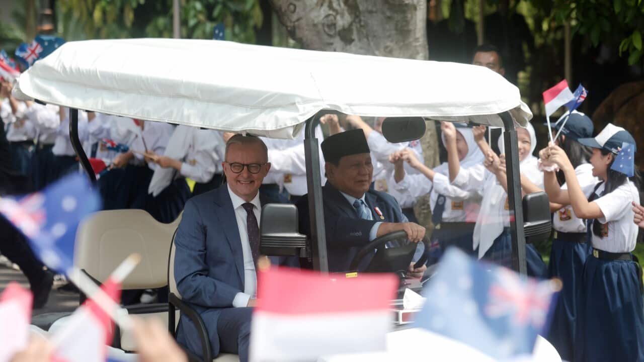 Australian Prime Minister Albanese meets Indonesian President Prabowo in Jakarta