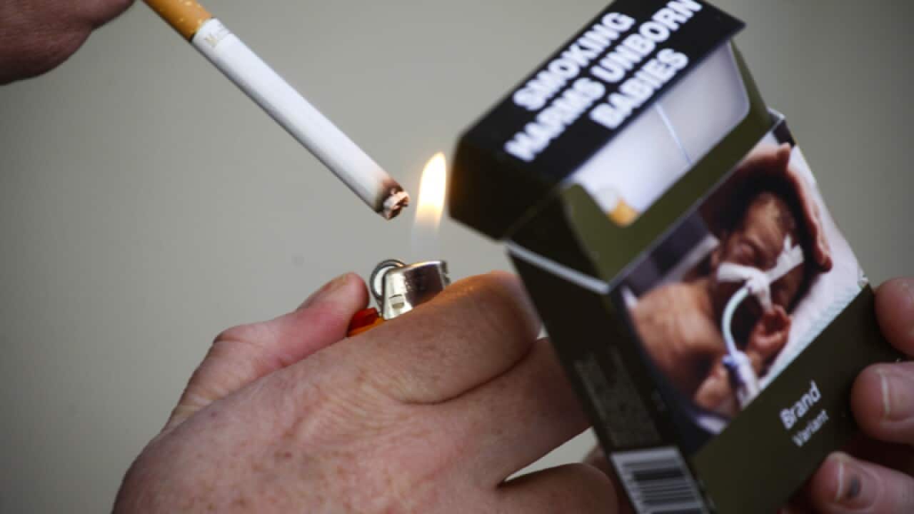 10 drunk cigarettes Empowering Girls: 10 Drunk Cigarettes Reaction 10 drunk cigarettes Empowering Girls: 10 Drunk Cigarettes Reaction