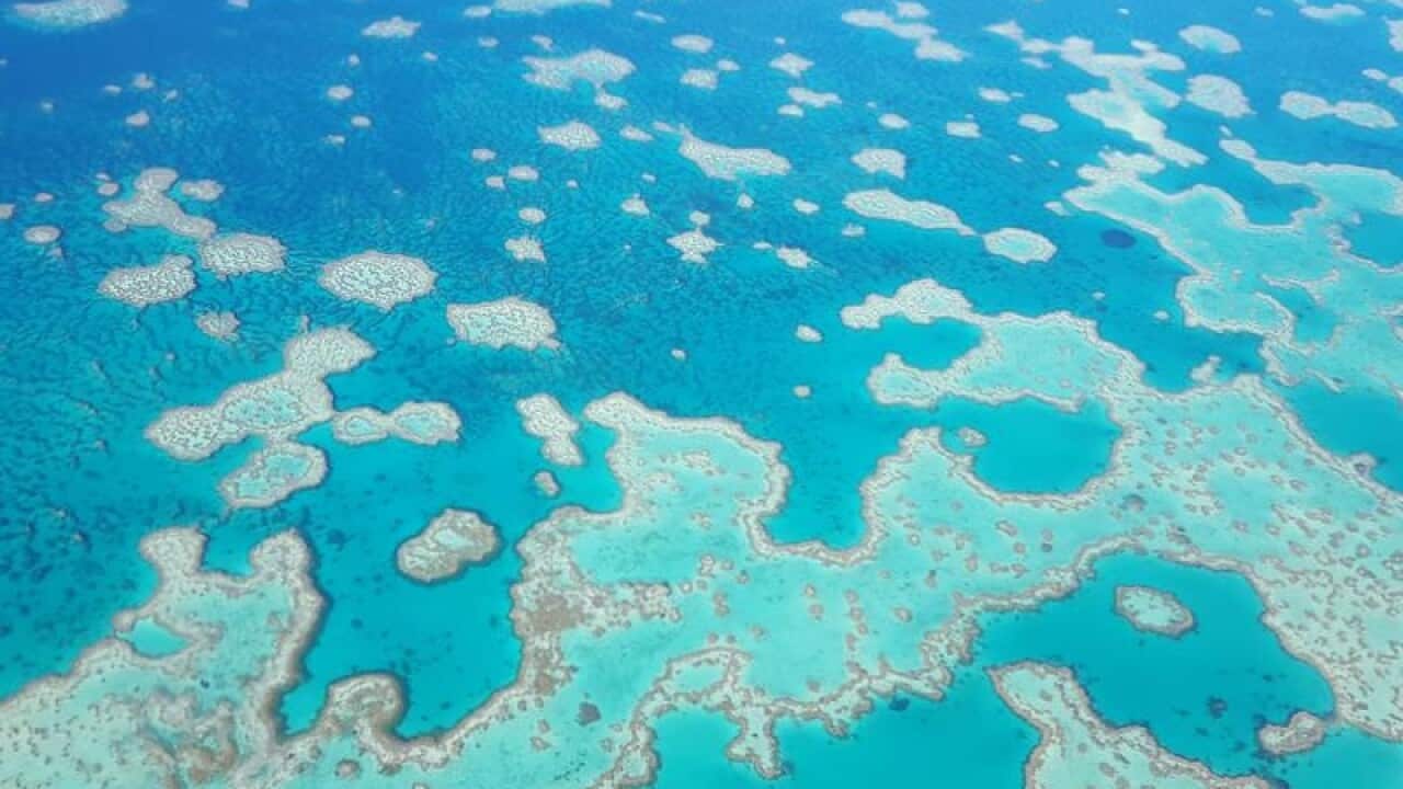 A file image of the Great Barrier Reef as viewed from abov