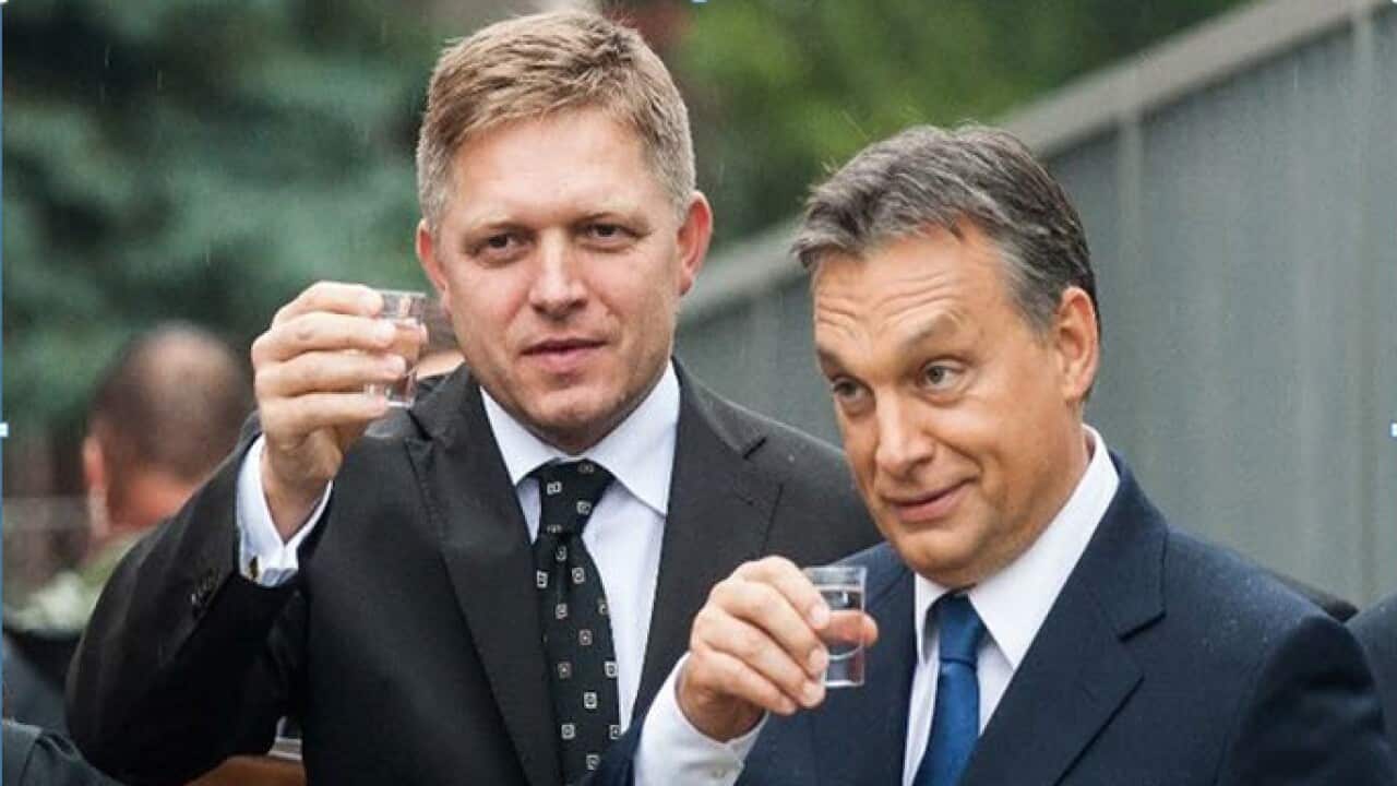 Slovak and Hungarian Prime Ministers Robert Fico and Viktor Orban