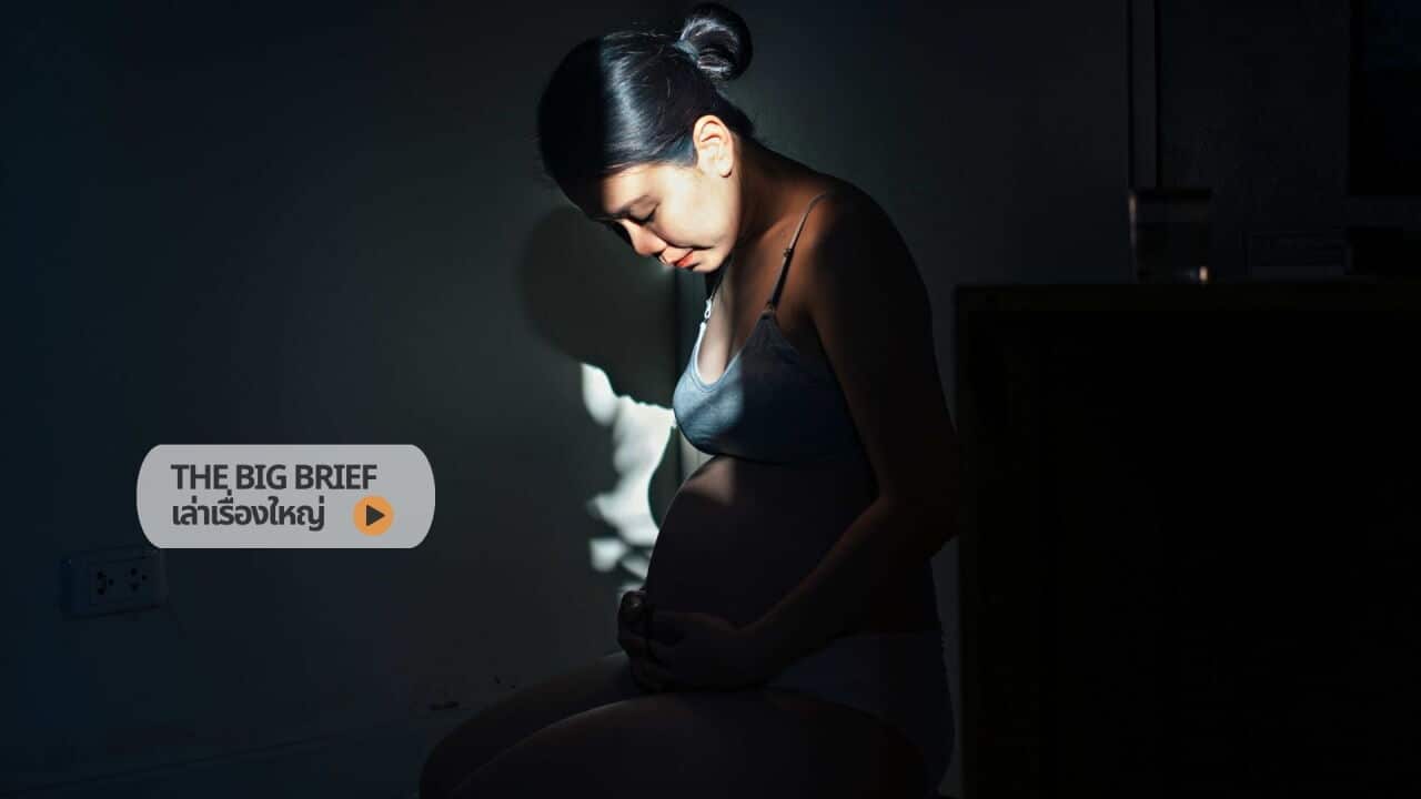 Abortion Copy of The Big Brief HEADER .jpg