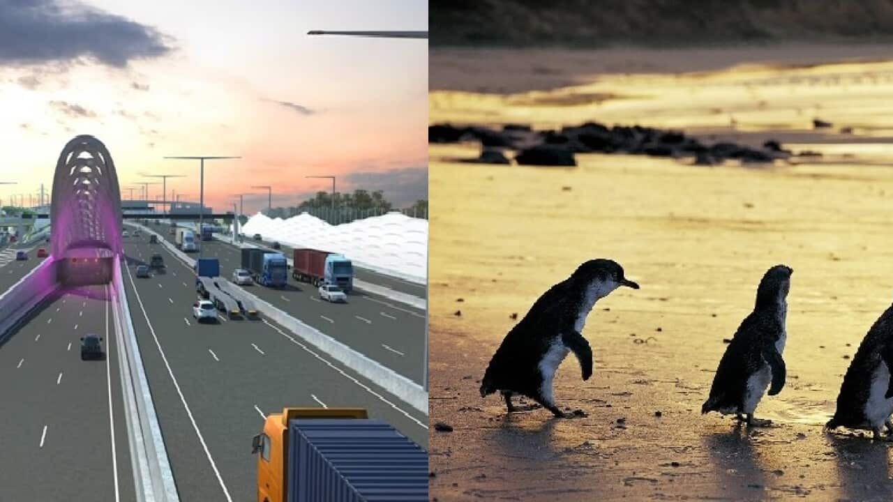 Image for read more article ''