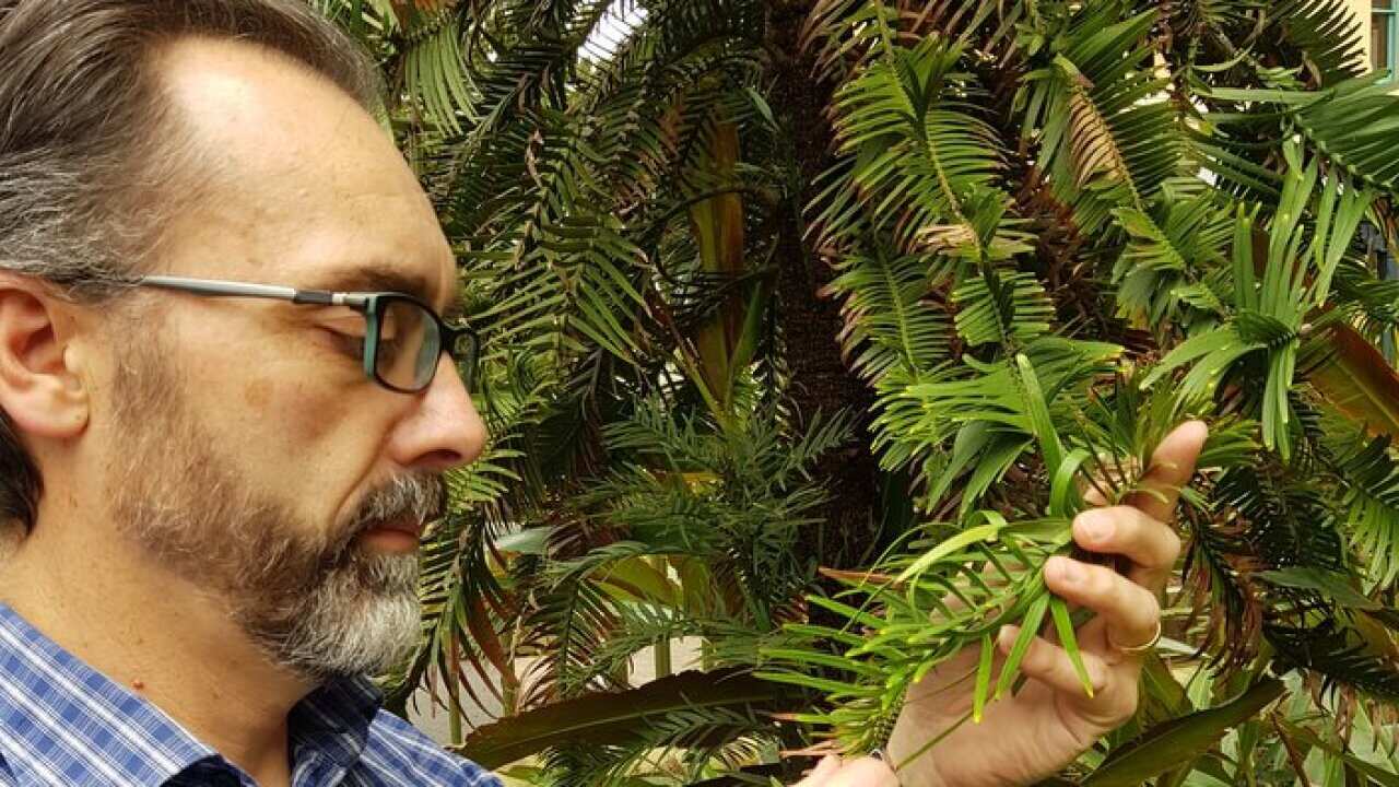 Courtesy of Dr. Maurizio Rossetto