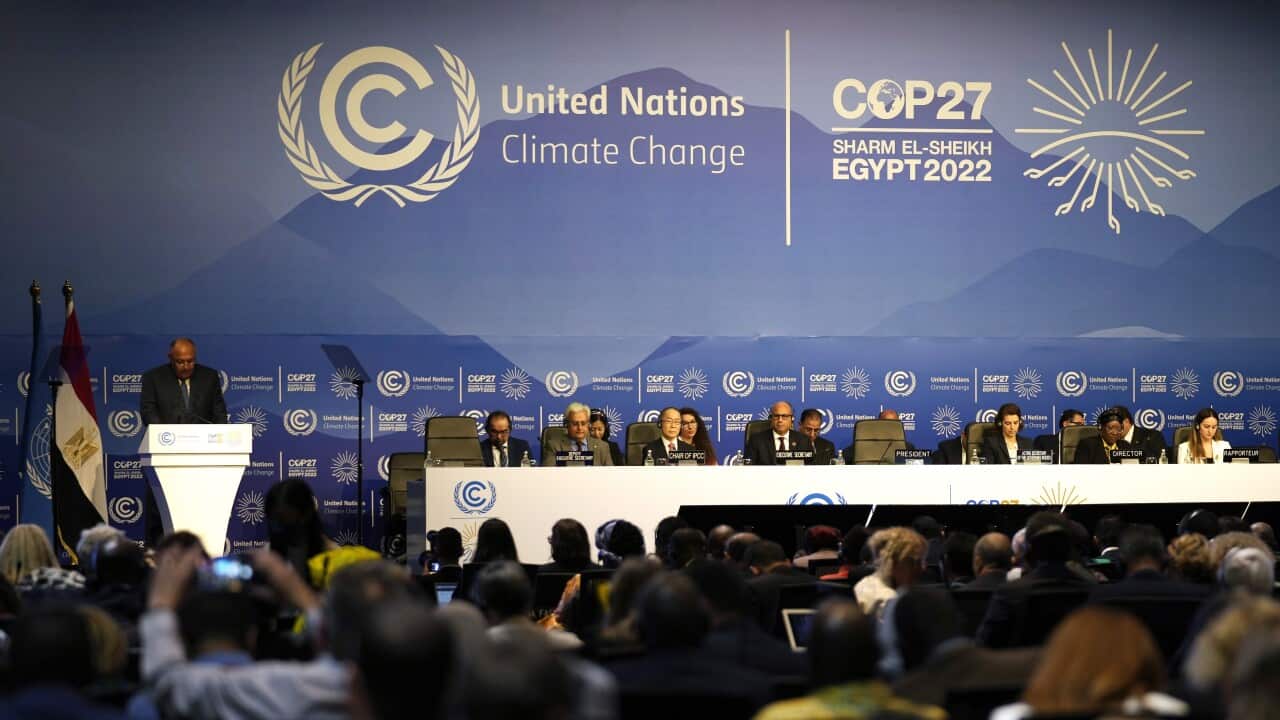 COP27 Climate Summit