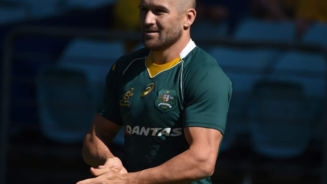 Wallabies centre Matt Giteau