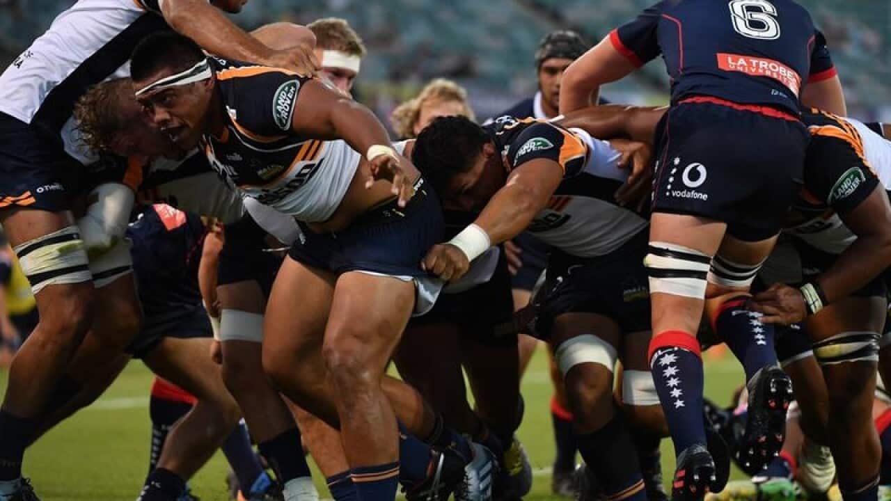Brumbies