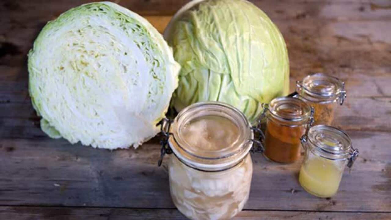 cabbage in brine