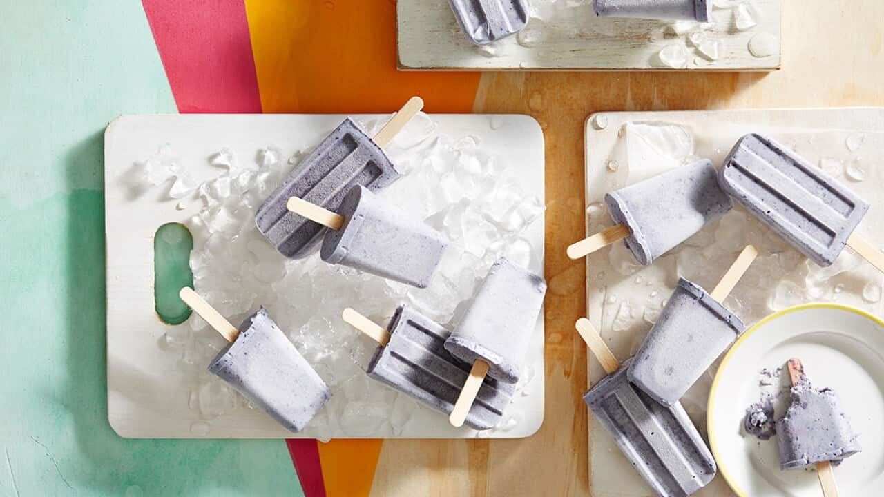 Blueberry and coconut paddle pop