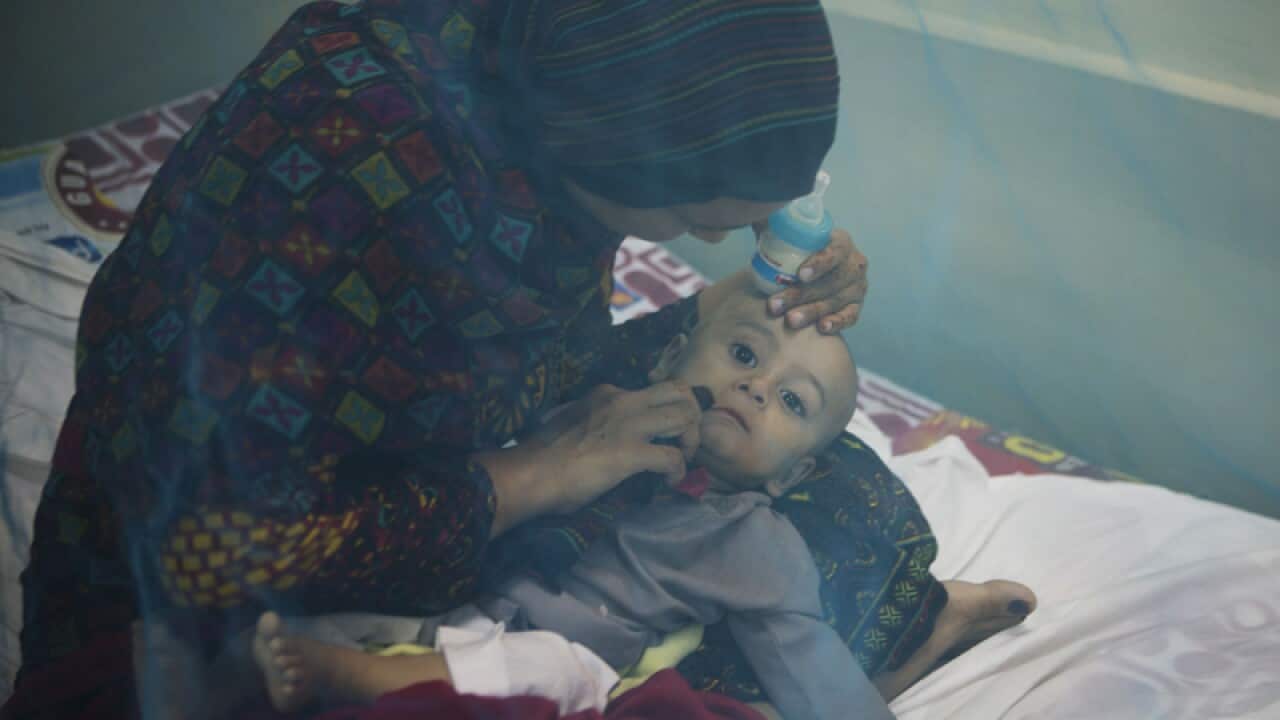 A Pakistani mother holds her son suffering from dengue fever