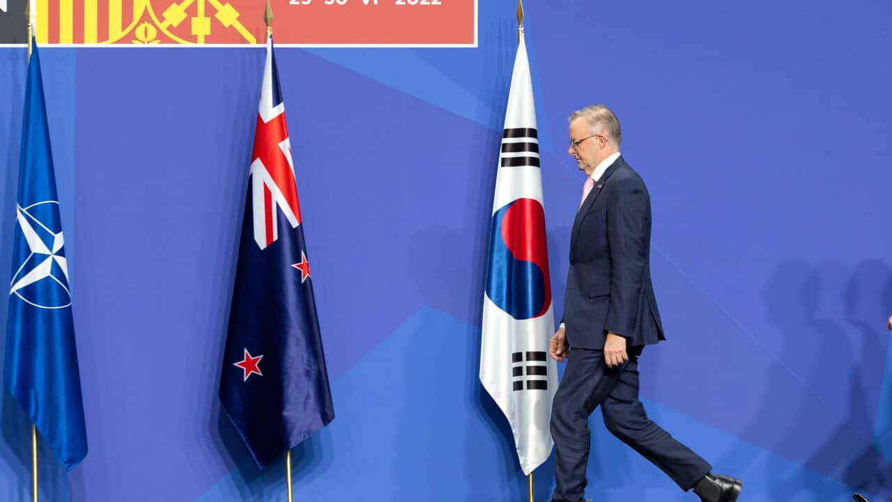 La Semaine Politique : Anthony Albanese en Europe