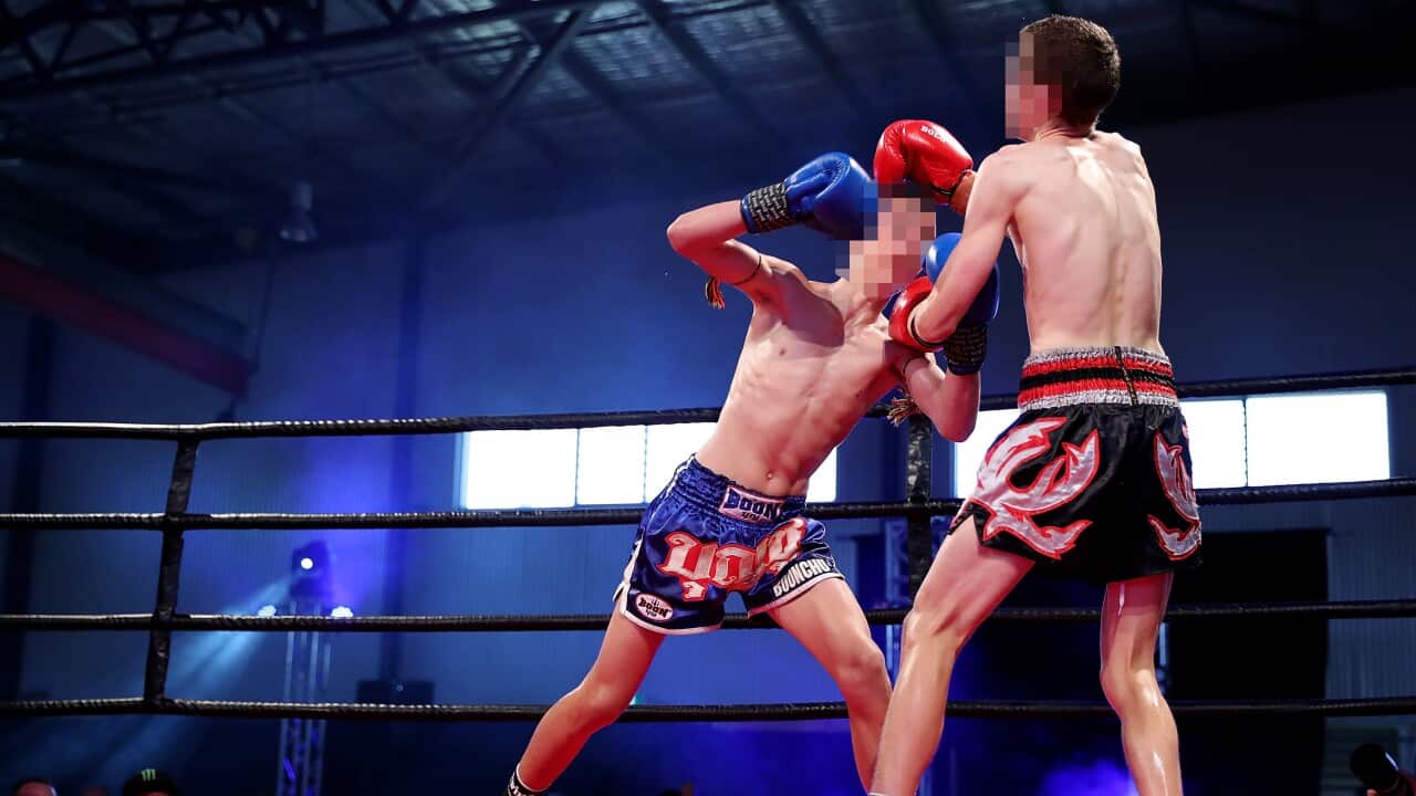 Muay Thai fighters in Queensland