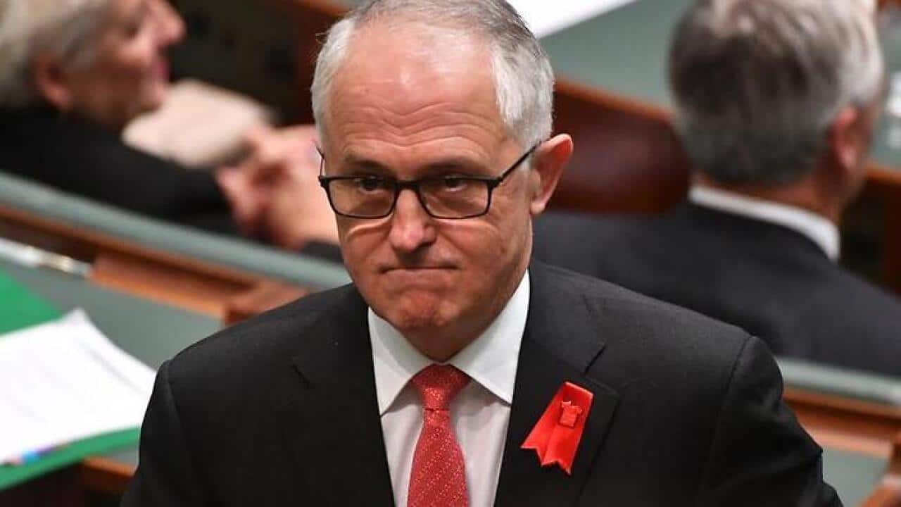 Labor says the government's new energy policy looks like it has been cobbled together