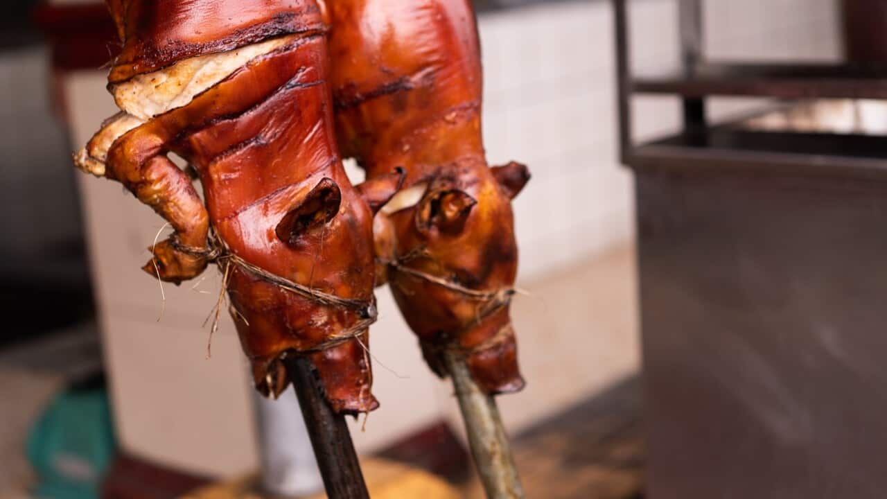 Selective focus shot of lechon being prepared - suckling pig - traditional in Manila, Philippines