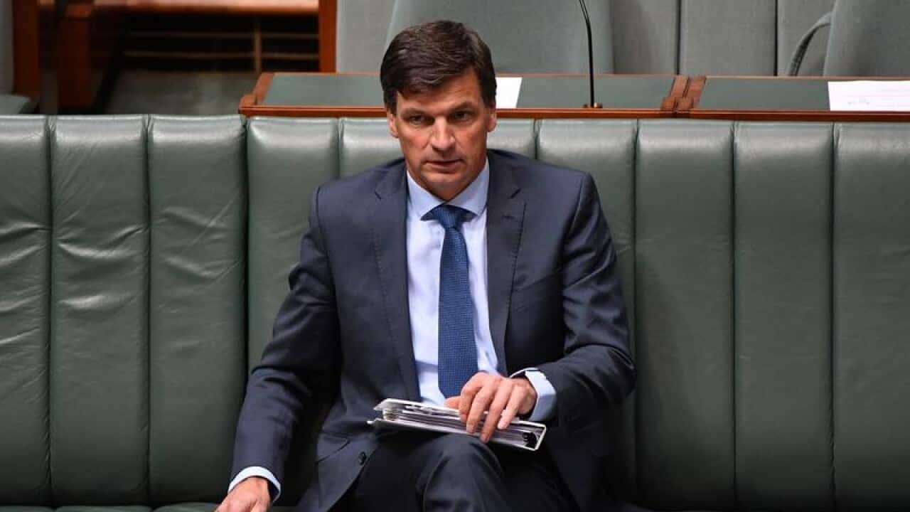 Labor has referred Angus Taylor to the NSW police over an allegedly false document provided to a newspaper.
