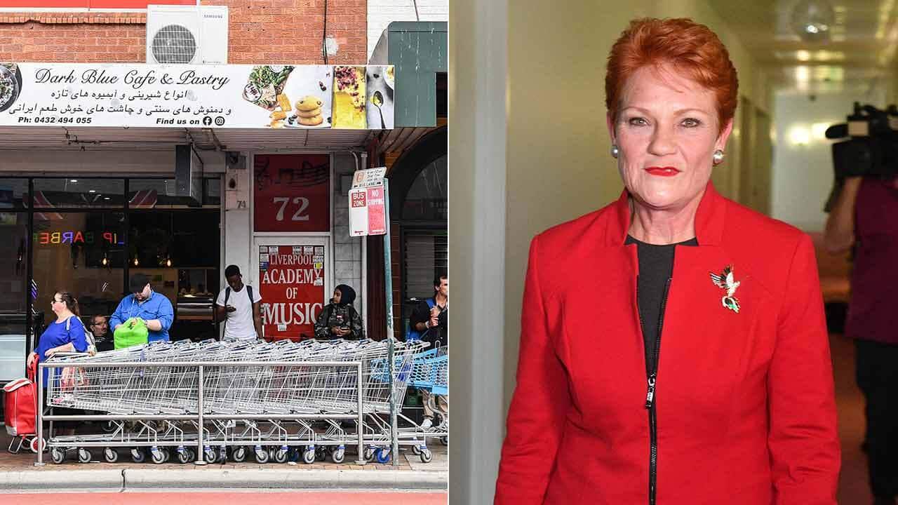 Pauline Hanson has urged a rethink on Australia’s immigration policy.