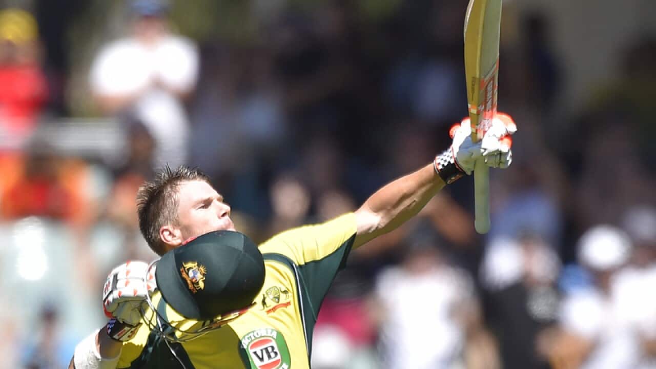 Australian opening batsman David Warner