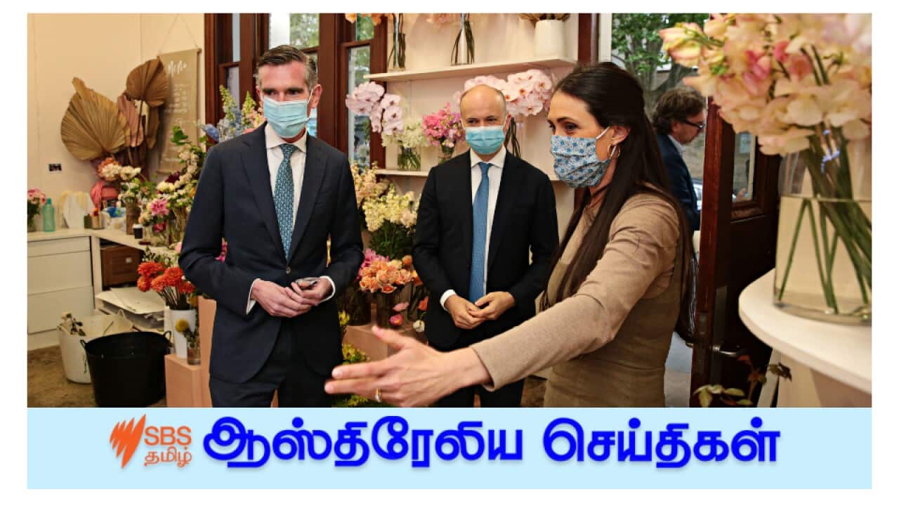 News and Current affairs