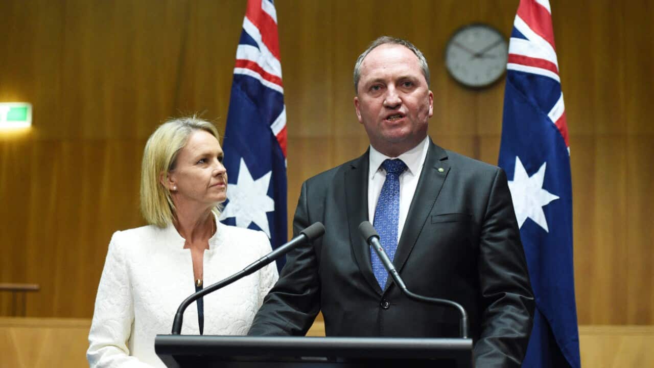 Minister for Rural Health Fiona Nash and Deputy Prime Minister Barnaby Joyce speak to the media during a press conference in Canberra in this file photo