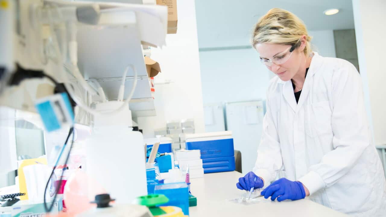 Dr. Marina Pajić has been recognised for her work in developing personalised treatment of pancreatic cancer.