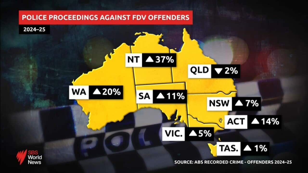 Domestic violence incidents rose 8% in Australia this year I SBS News