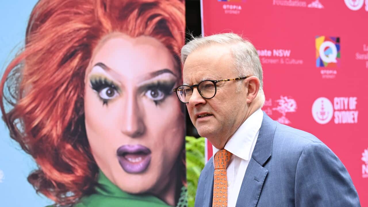 ANTHONY ALBANESE QTOPIA SYDNEY OPENING