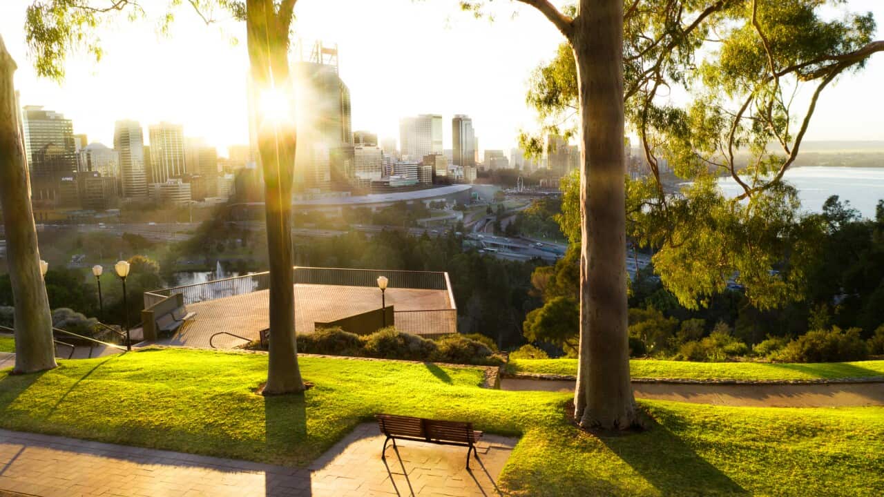 Image for read more article '最近のオーストラリアワイドのエピソード'